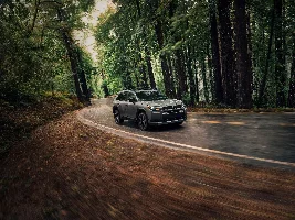 Toyota PR: 2026 Toyota RAV4 Woodland Pictures