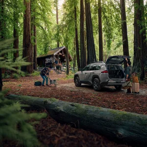 2026-Toyota-RAV4_Woodland_0013.webp